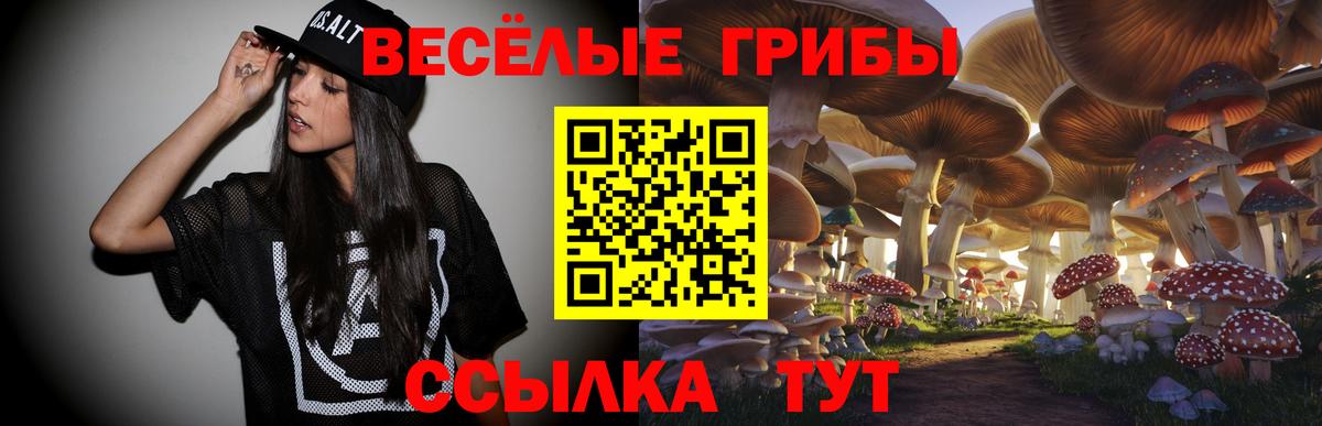 Псилоцибиновые грибы MAGIC MUSHROOMS  купить наркоту  Семилуки  Вход с VPN 
