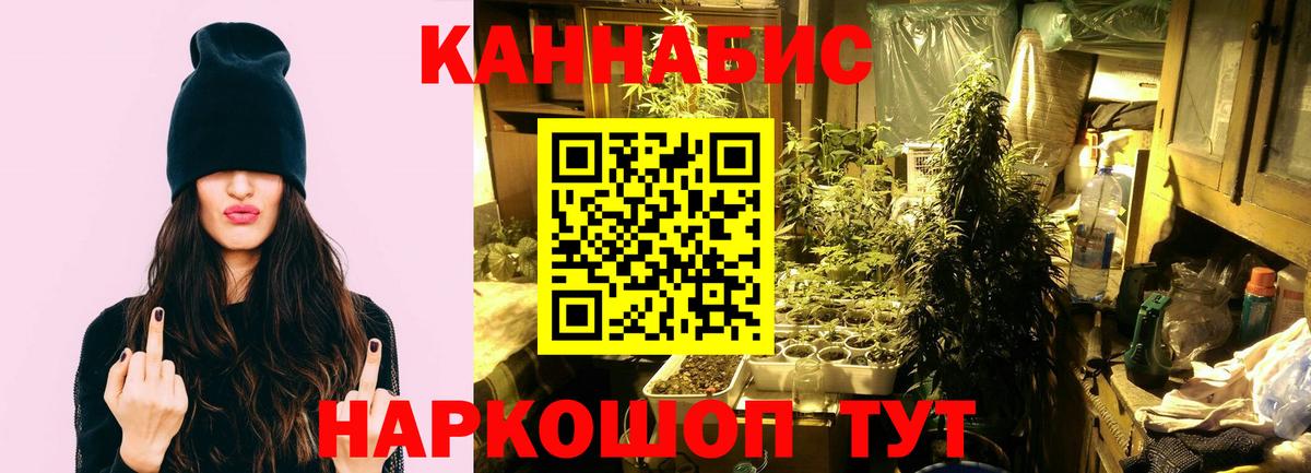 Семилуки  Марихуана Ganja  Вход с VPN  Бошки марихуана планчик  Каннабис семена  Каннабис конопля 